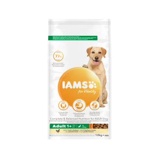 IAMS Adult Large Breed Hundefutter - Chicken - 12 kg