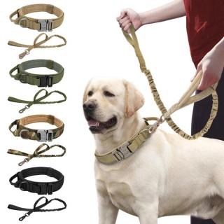 Starkes militärisches taktisches Hundehalsband, Bungee-Leine für Haustiere, strapazierfähiges Nylon-Trainingshalsband für Hau
