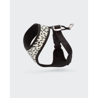 Paikka Mesh Hundegeschirr 2.0 XXXS