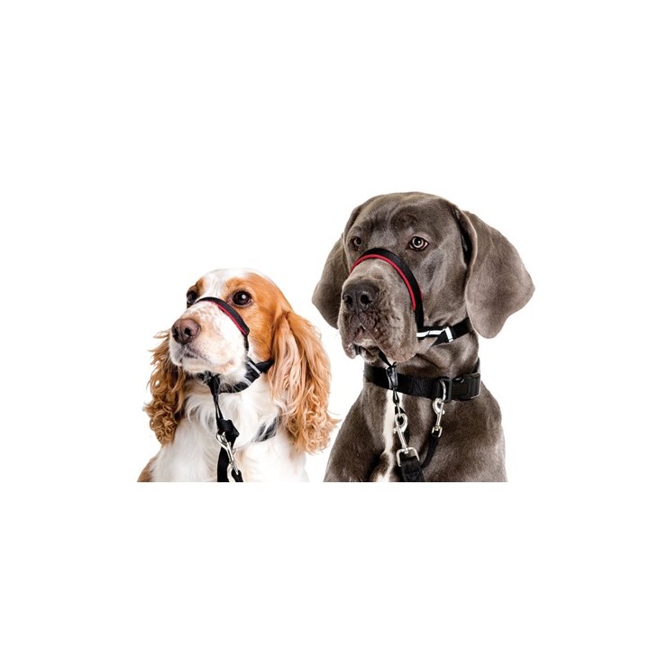 Halti OptiFit Headcollar - S