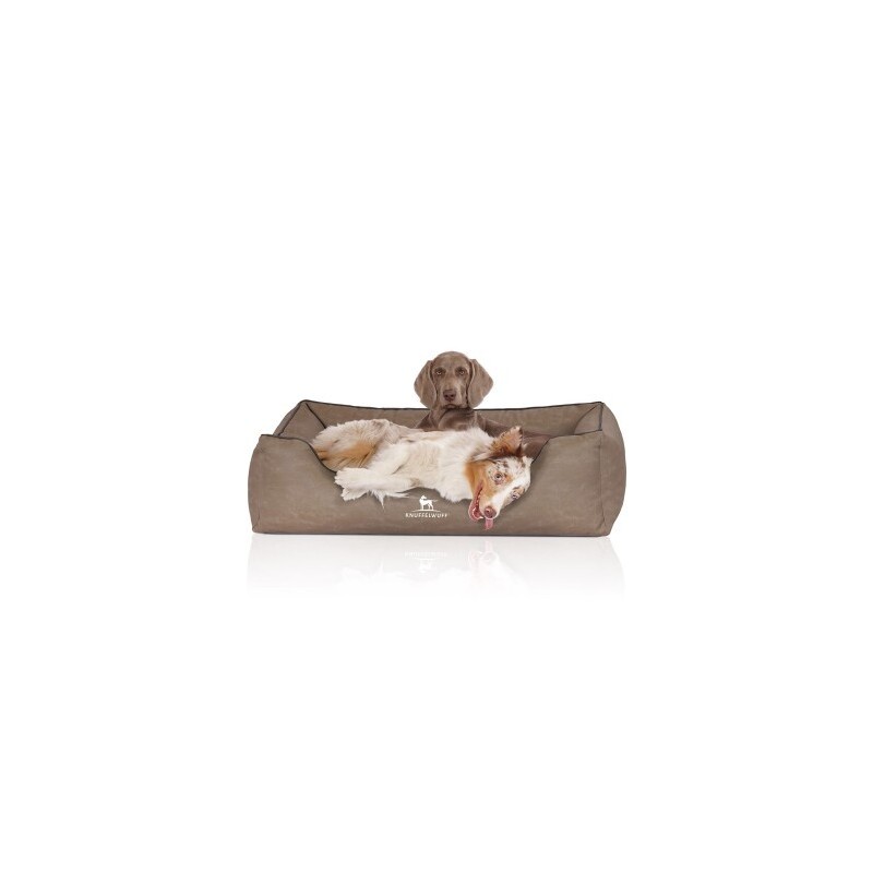 Knuffelwuff Orthopädisches Hundebett Rockland aus Kunstleder stone clay XXL