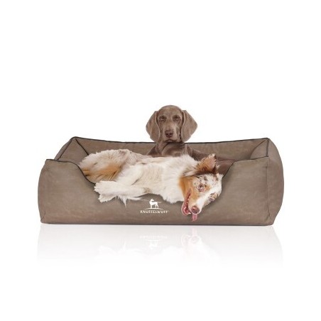 Knuffelwuff Orthopädisches Hundebett Rockland aus Kunstleder stone clay XXL