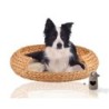 Rohrschneider ® runder Hundekorb aus geflochtener Wasserhyazinthe, Hundesofa für kleine, mittelgroße und große Hunde