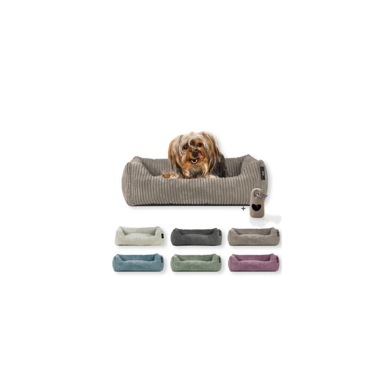 Rohrschneider ® Hundebett waschbar für kleine Hunde mit Hundekissen Cord (ca. 55x42 cm) inkl. Gassibeutel