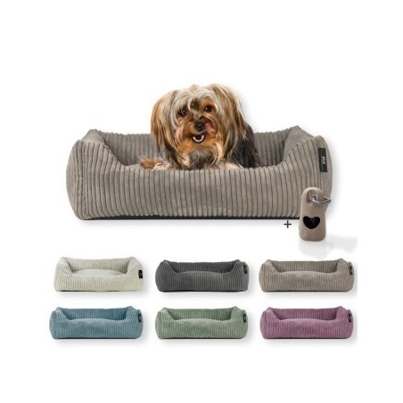 Rohrschneider ® Hundebett waschbar für kleine Hunde mit Hundekissen Cord (ca. 55x42 cm) inkl. Gassibeutel