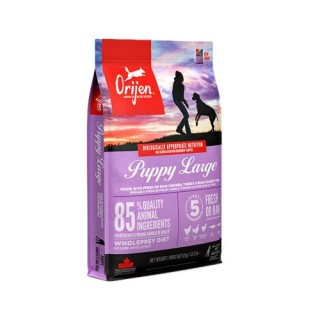Orijen Puppy Large Breed Whole Prey Hundefutter - 6 kg
