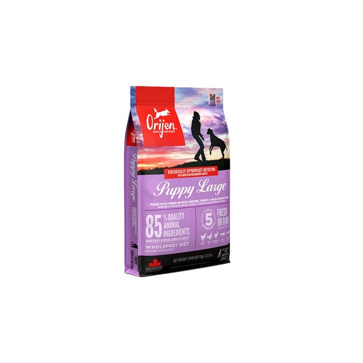 Orijen Puppy Large Breed Whole Prey Hundefutter - 6 kg
