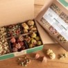 alsa-nature Jubiläums Knabber-Selection Jubiläums-Kekse, Hundefutter