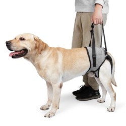 Hundeschlinge für große Hunde, Hinterbein, verstellbare Hundehebegeschirre zum Spazierengehen/Klettern, Haustier-Hilfsmittel