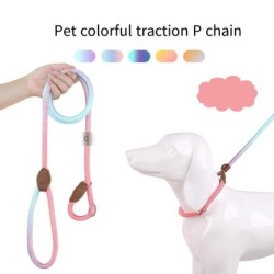 Nylonleinen für Hunde, Kettenzugseil, zum Laufen, für Spaziergänge mit dem Hund, Seilleine für Hunde, Heimtierbedarf violett