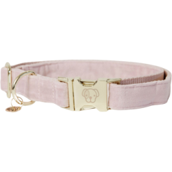 Kentucky Dogwear Hundehalsband "Velvet" soft rose - XL (45-75) cm