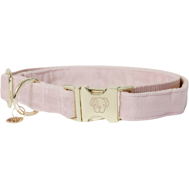 Kentucky Dogwear Hundehalsband "Velvet" soft rose - XL (45-75) cm