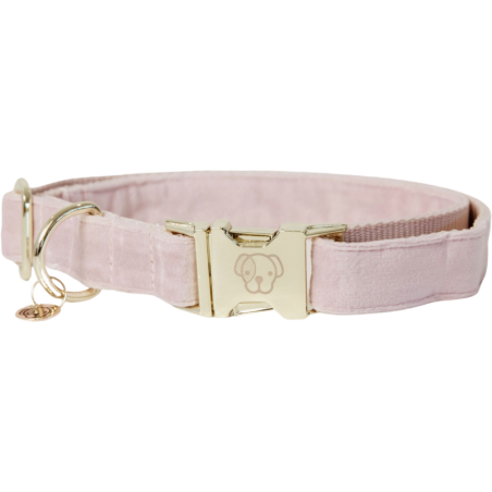 Kentucky Dogwear Hundehalsband "Velvet" soft rose - XL (45-75) cm
