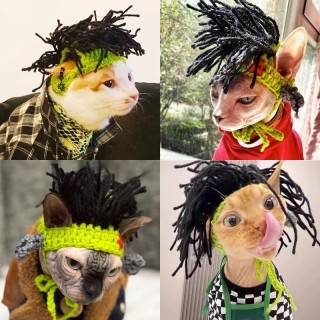 Mode Punk Haustier Hund Hut Lustige Rap Rock Stricken Ball Winter Warme Wolle Haustier Hüte für Kleine Katzen Sphynx Haustier