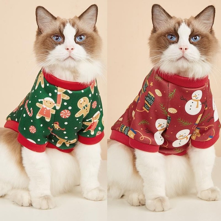 Niedlicher Aufdruck Sphynx Katzenkostüm Kleidung Winter Warmer Haustier Hoodie Pullover für Katzen Weiche Fleece Welpen Kedi