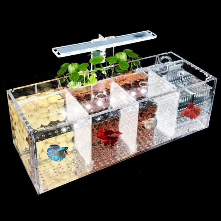 Acryl Micro Kleine Fisch Tank Desktop Mini Aquarium Betta Tank Kunststoff Fisch Schüssel Schildkröte Tank Kunststoff Fisch Sc