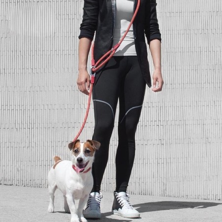 Reflektierende Nylonleinen für Hunde, Kette, Zugseil, zum Laufen mit freien Händen, Seilkette für kleine und große Hunde schw