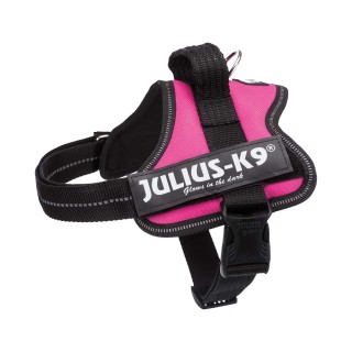 Julius-K9 Powergeschirr - XS - Fuchsia