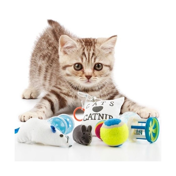 8 Katzenspielzeug : 1 Kissen, 3 Bälle, 2 Mäuse und 2 Glocken