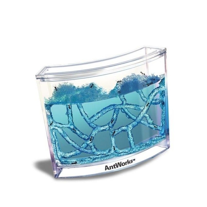 Antworks Vivarium für Ameisen mit LED-Evolutionsmedium mit Beleuchtung