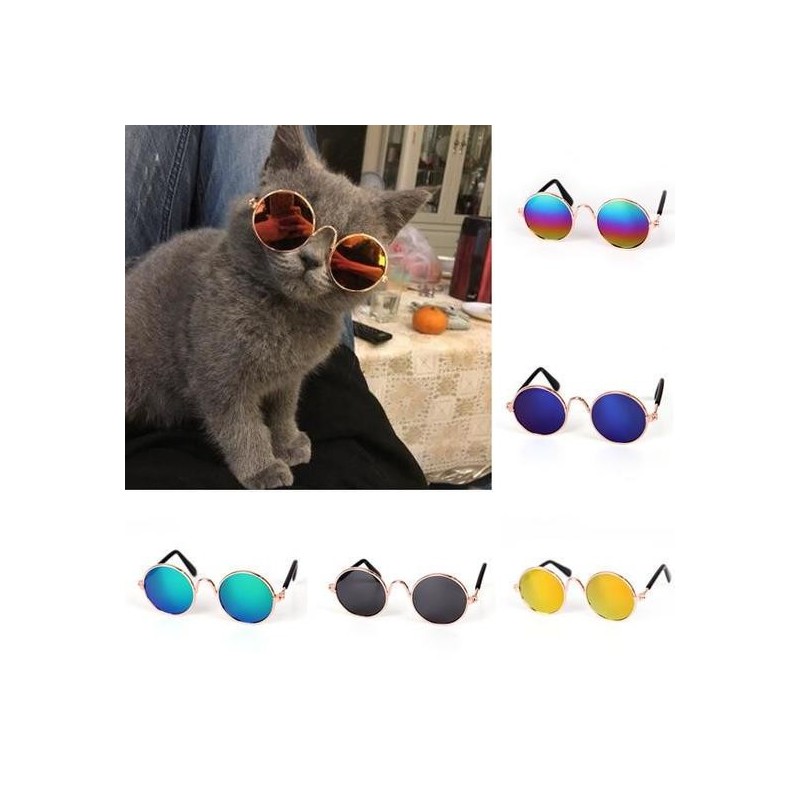 Haustierbrille, Katze, Sonnenbrille, Hund, Teddy, Persönlichkeit, lustiger Kopfschmuck 1