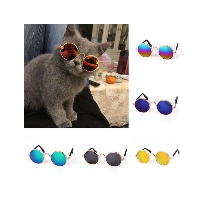 Haustierbrille, Katze, Sonnenbrille, Hund, Teddy, Persönlichkeit, lustiger Kopfschmuck 1