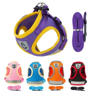 Welpengeschirr und Leine-Set, atmungsaktiv, Sommer-Mesh-Hundegeschirr, Weste, reflektierend, Brustgurte für Haustiere, Katzen