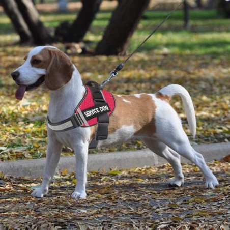 Taktisches nachtreflektierendes Hundegeschirr im Beagle-Stil, bequemes und robustes Haustiergeschirr verhindert plötzliches Z