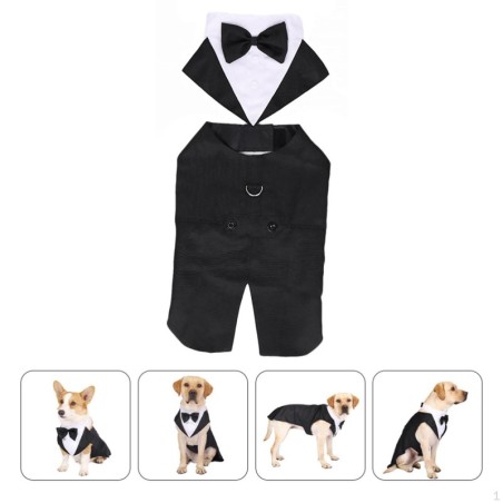 Hundeanzug und Bandana-Set, Halloween, Geburtstag, Cosplay-Accessoire, elegant, leicht Size XXL