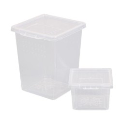 Kunststoff Fütterung Acryl Box Insekten Spinne Lebensraum Fütterung Box Transport Schlupfbehälter