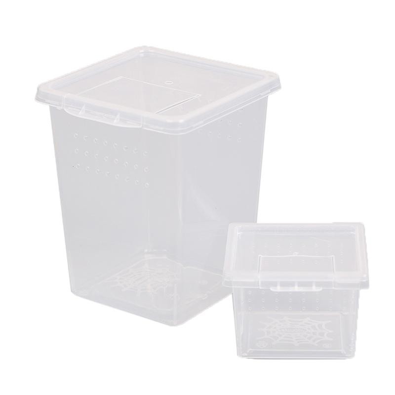 Kunststoff Fütterung Acryl Box Insekten Spinne Lebensraum Fütterung Box Transport Schlupfbehälter