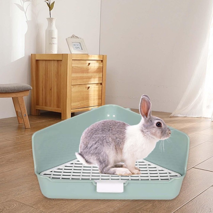 Gemütliches Tierheim für Kleintiere grün