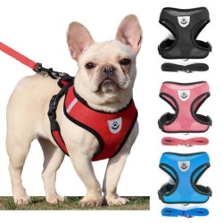 Hundezubehör, atmungsaktives Mesh-Hundegeschirr und Leine-Set, Welpen- und Katzengeschirr, Weste für kleine Hunde, Chihuahua,