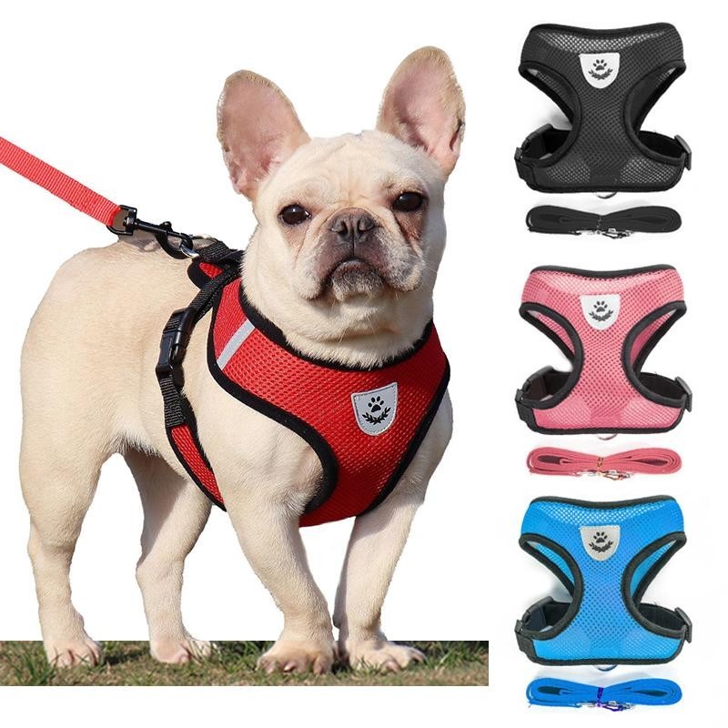Hundezubehör, atmungsaktives Mesh-Hundegeschirr und Leine-Set, Welpen- und Katzengeschirr, Weste für kleine Hunde, Chihuahua,