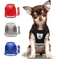 Haustier-Hundegeschirr und Leine Set, Welpen-/Katzen-Brustgurt, reflektierend, für kleine und mittelgroße Hunde, Katzengeschi