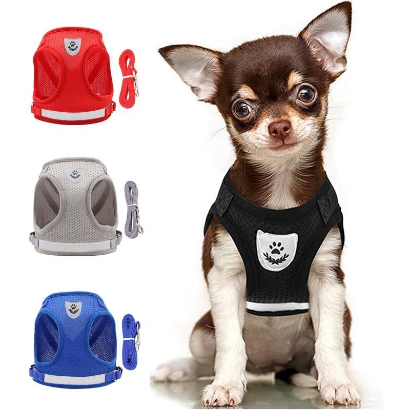 Haustier-Hundegeschirr und Leine Set, Welpen-/Katzen-Brustgurt, reflektierend, für kleine und mittelgroße Hunde, Katzengeschi