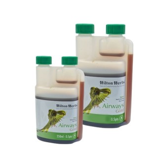 Hilton Herbs Airways Gold for Birds (für Vögel) - 250 ml