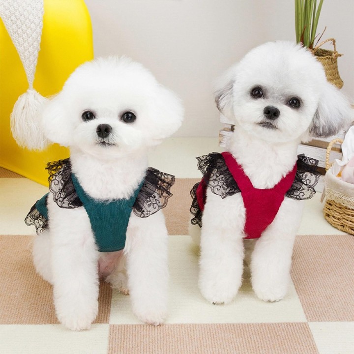 Haustierkleidung, Hundekleider, Haustierpartykleidung, Haustierkleidung für kleine Katzen und Hunde L grün