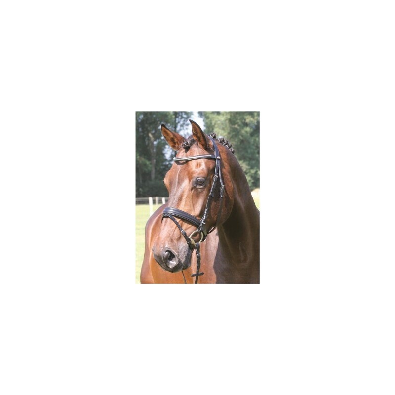 Hans Melzer Horse Equipment Hans Melzer Trense Kreuth schwarz/silber VB/ COB (Vollblut)