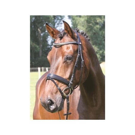 Hans Melzer Horse Equipment Hans Melzer Trense Kreuth schwarz/silber VB/ COB (Vollblut)