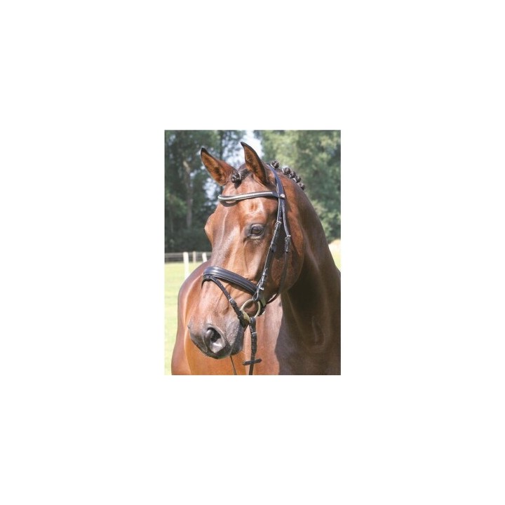 Hans Melzer Horse Equipment Hans Melzer Trense Kreuth schwarz/silber VB/ COB (Vollblut)