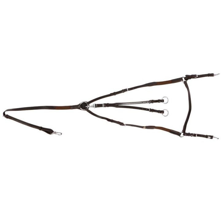 Hans Melzer Horse Equipment Hans Melzer Vorderzeug Bad Harzburg braun/silber WB (Warmblut)