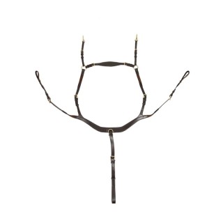 Hans Melzer Horse Equipment Hans Melzer Vorderzeug Balve braun/messing WB (Warmblut)