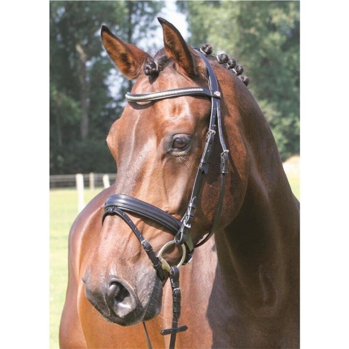 Hans Melzer Horse Equipment Hans Melzer Trense Kreuth schwarz/silber VB/ COB (Vollblut)