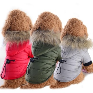 Wintermantel für Hunde, winddicht, Kapuzenjacke für kleine Hunde, schneefest, Parka für Welpen, Schneeanzug, warme Katzenbekl