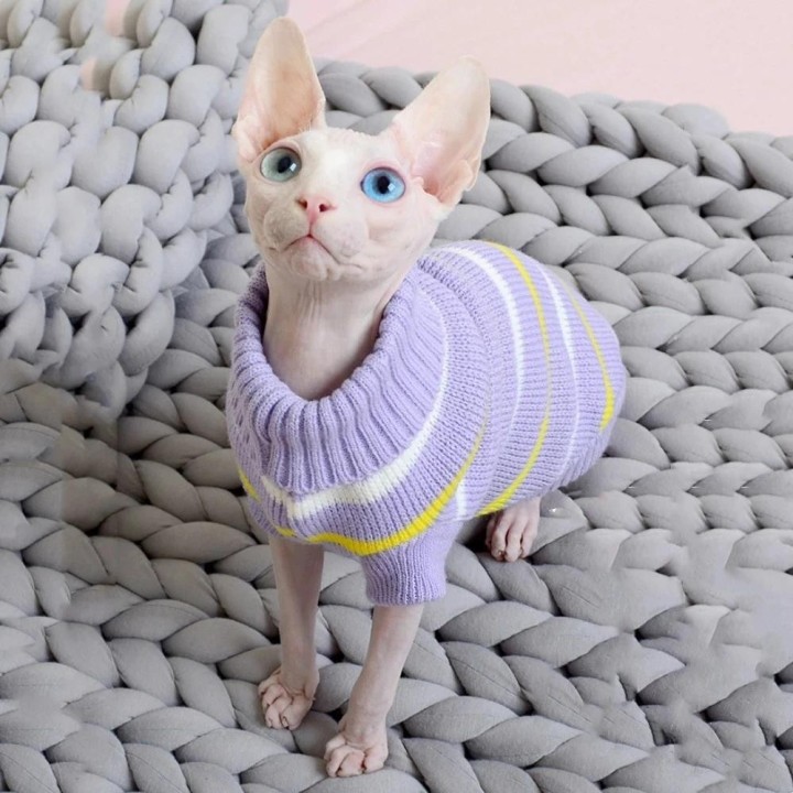 Winter warme Sphynx-Katzenkleidung, Welpen-Kätzchen, Strickpullover, Hoodies für Sphinx, kleine Hunde, Katzen, Kleidung, Chih