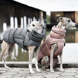 Haustier Hund Jacke Weste Winter Warme Hund Daunenweste Kleidung Winddicht Für Hunde Haustier Mantel Chihuahua Französisch Bu