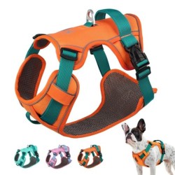 Mesh-atmungsaktives Hundegeschirr, Nylon, reflektierende Hundegeschirrweste, strapazierfähige Trainingsweste für Haustiere, v
