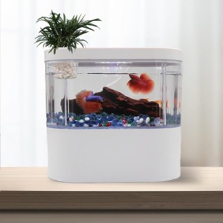 Kreatives Mini-Aquarium für den Schreibtisch mit biochemischem Filtersystem und LED-Licht für ökologischen Wasserkreislauf be