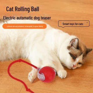 Mit Seil verstärkter, bissfester automatischer Katzenspielzeugball red rot